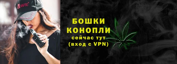 спайс Магас