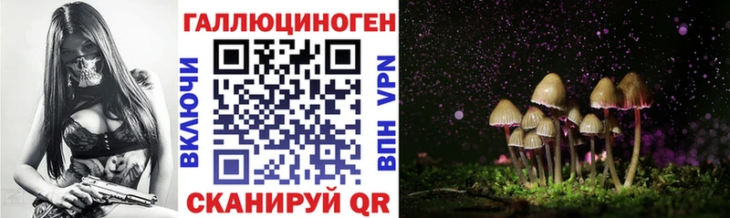 Псилоцибиновые грибы Psilocybine cubensis  OMG сайт  Александровск-Сахалинский 